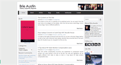 Desktop Screenshot of brieaustin.com